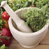 Herbs for IBS